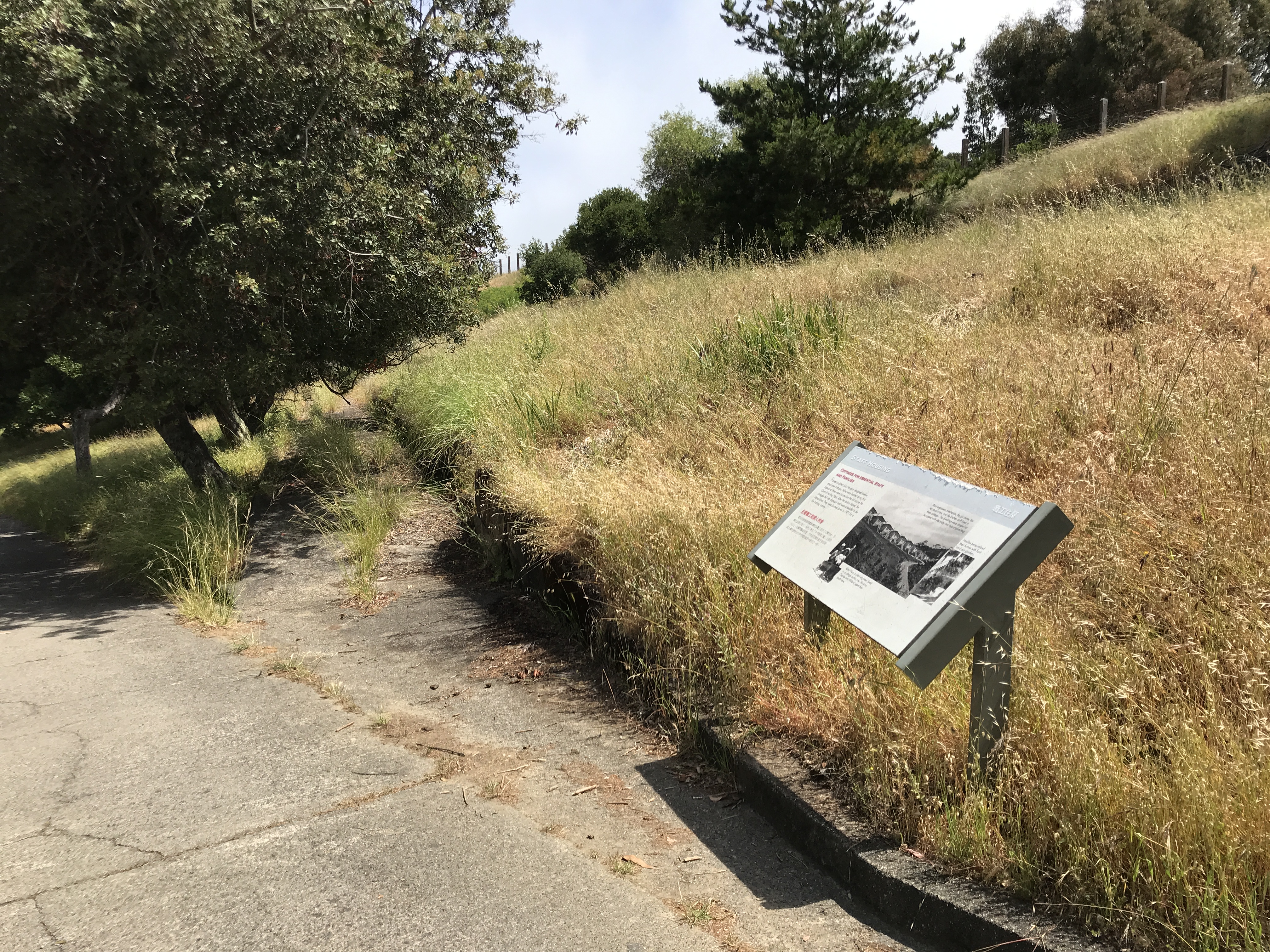 Site of Where Julia Morgan Cottages Once Were on Angel Island