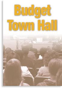 Assemblyman Ting Budget Town Hall graphic