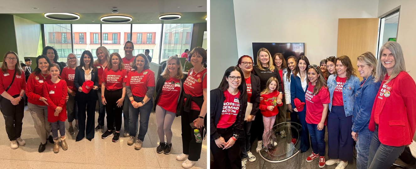 Asm. Stefani Moms Demand Action Advocacy Day