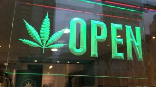 Ting Introduces Bill to Help Cities And Counties License More Cannabis Retailers