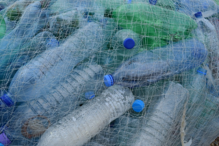 California Leads with Country’s First Mandate For Recycled Content in Plastic CRV Bottles 