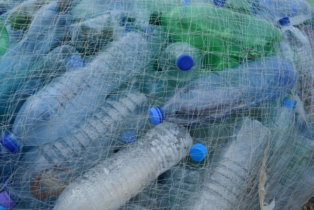 Ting Proposal to Require Recycled Content in Plastic CRV Bottles Passes State Assembly